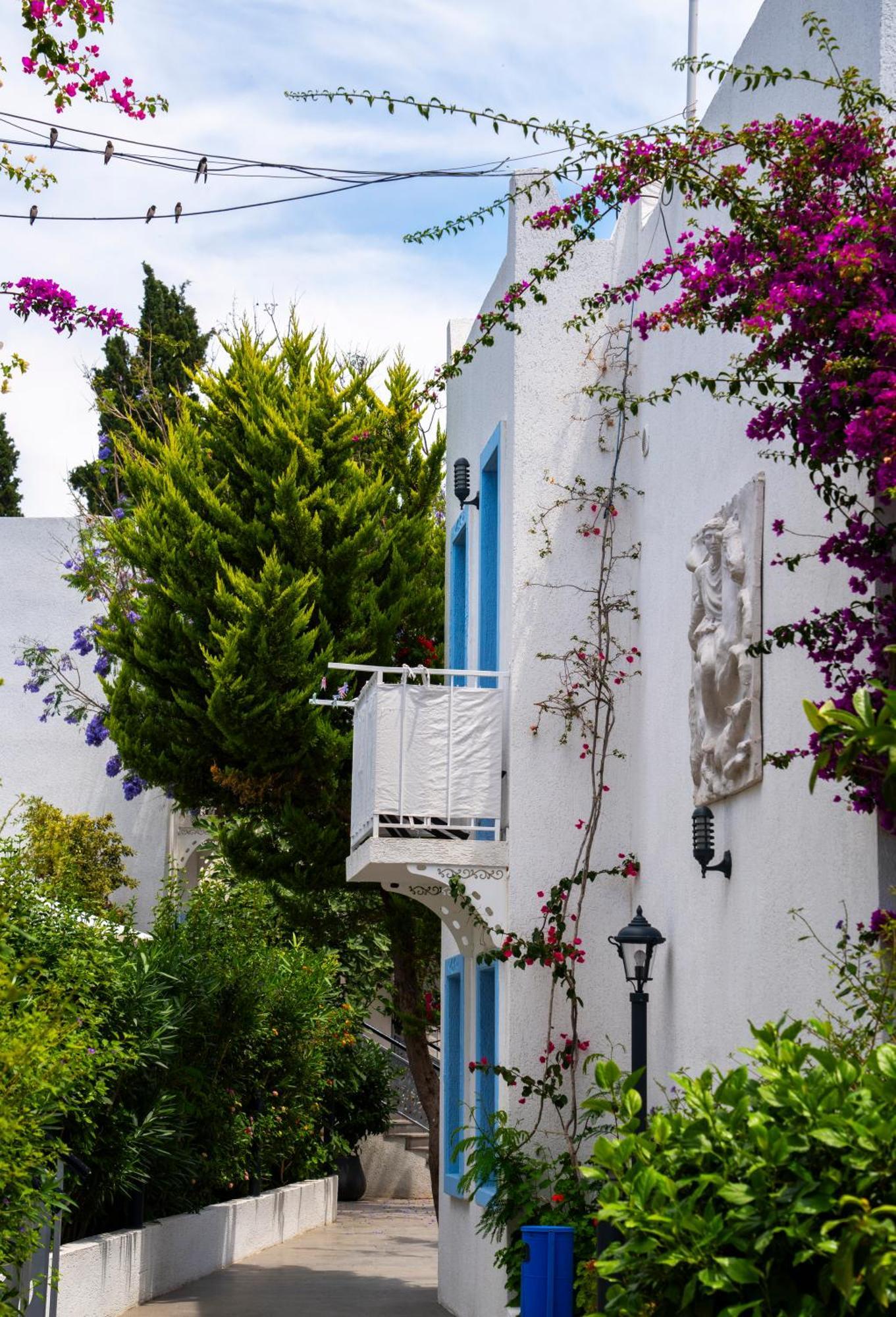 Manuela Boutique Hotel Bitez Exteriér fotografie