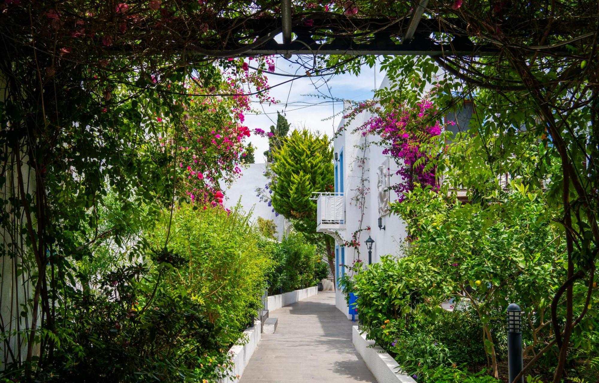 Manuela Boutique Hotel Bitez Exteriér fotografie