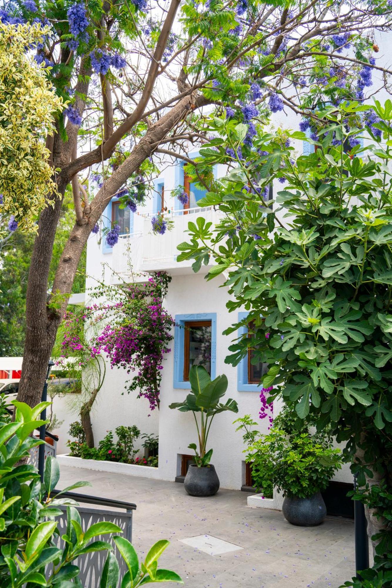 Manuela Boutique Hotel Bitez Exteriér fotografie