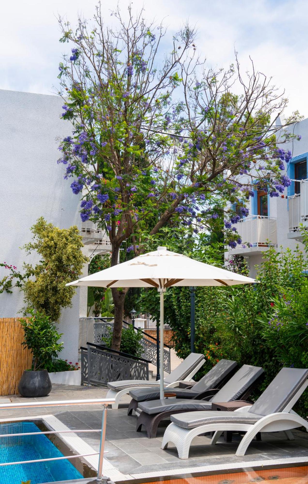 Manuela Boutique Hotel Bitez Exteriér fotografie