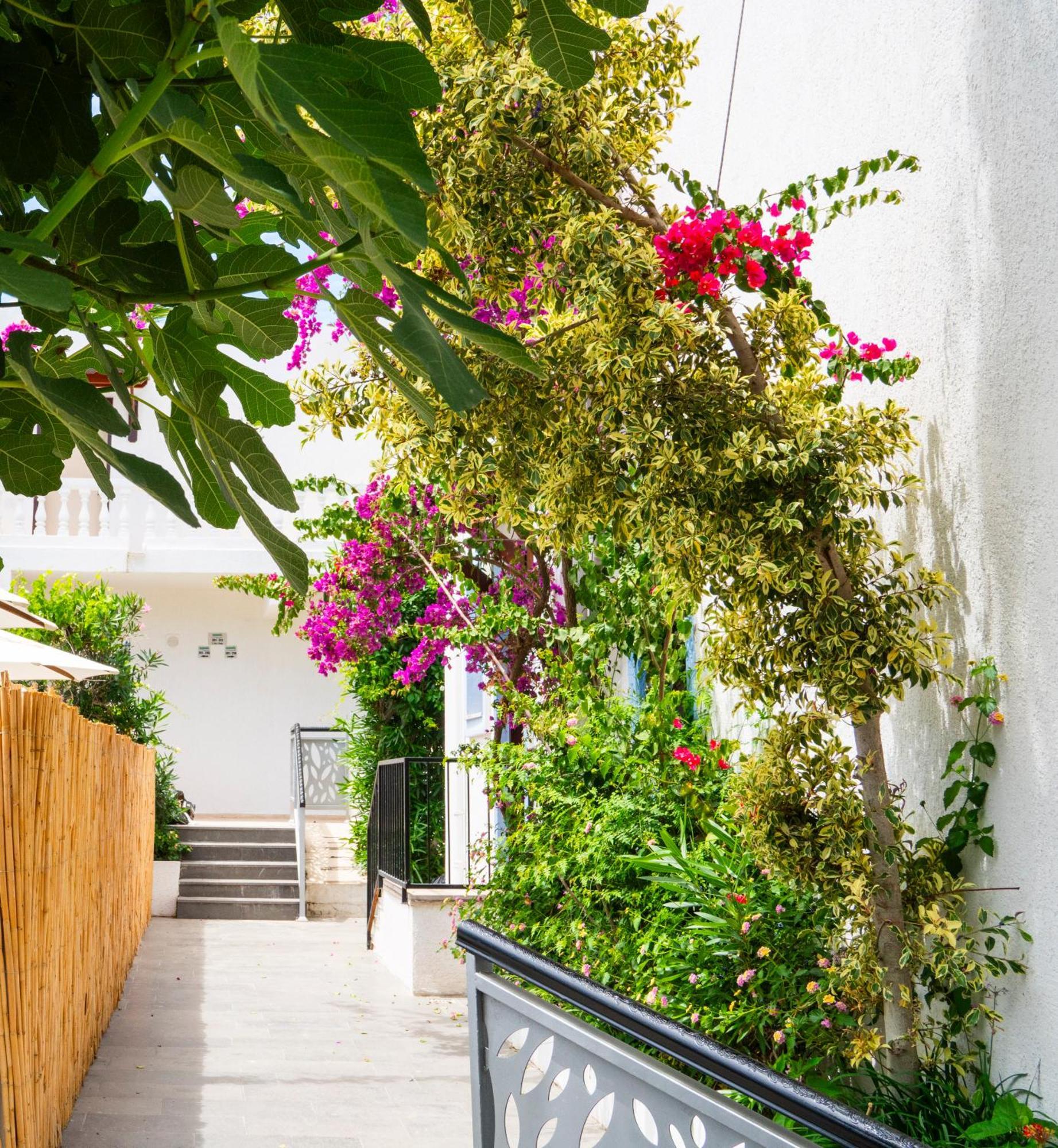 Manuela Boutique Hotel Bitez Exteriér fotografie