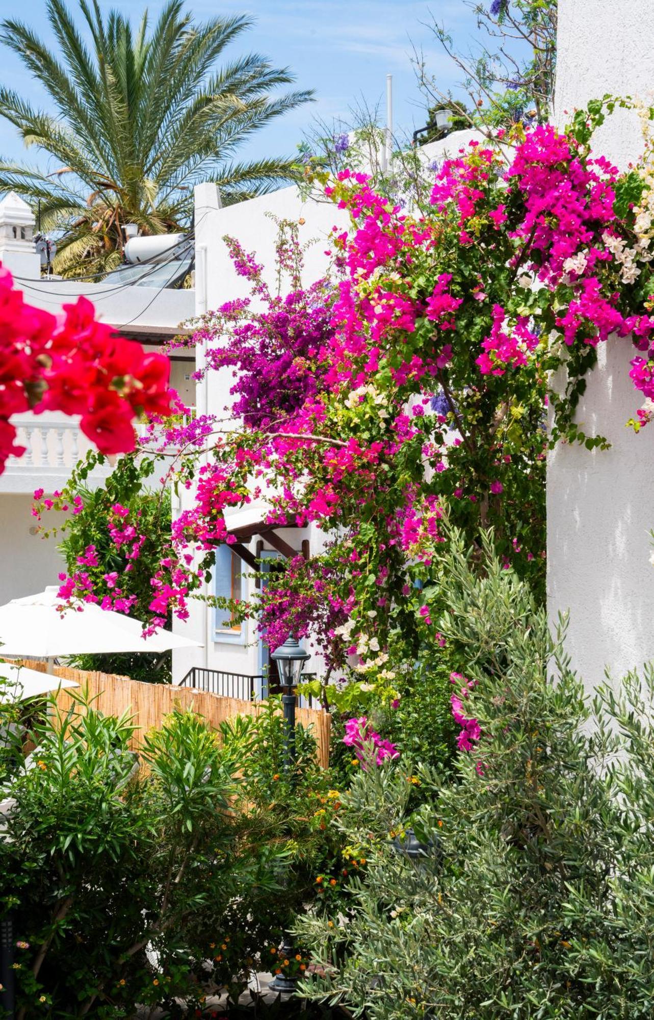 Manuela Boutique Hotel Bitez Exteriér fotografie