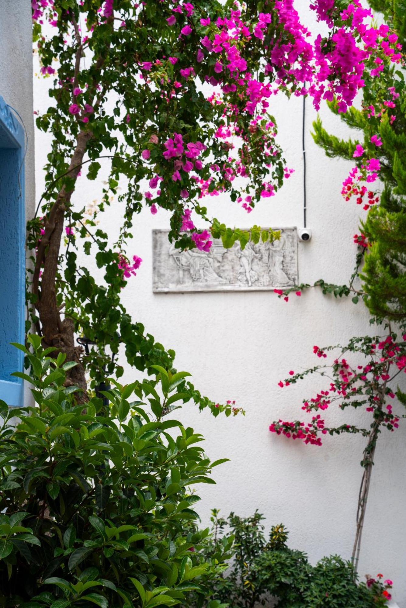 Manuela Boutique Hotel Bitez Exteriér fotografie